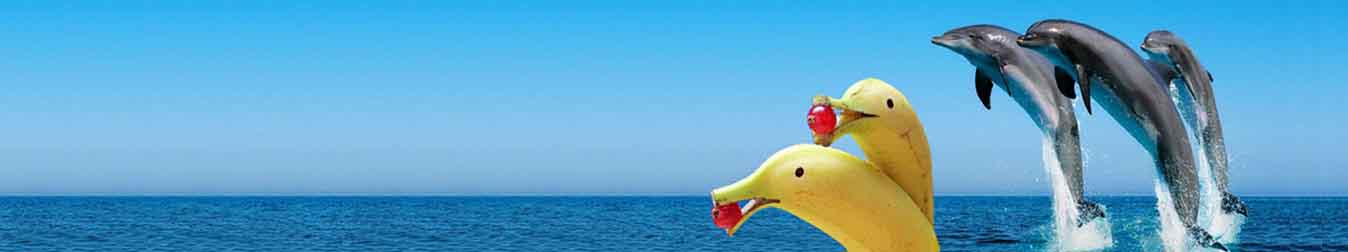 Sản xuất Phim Quảng cáo