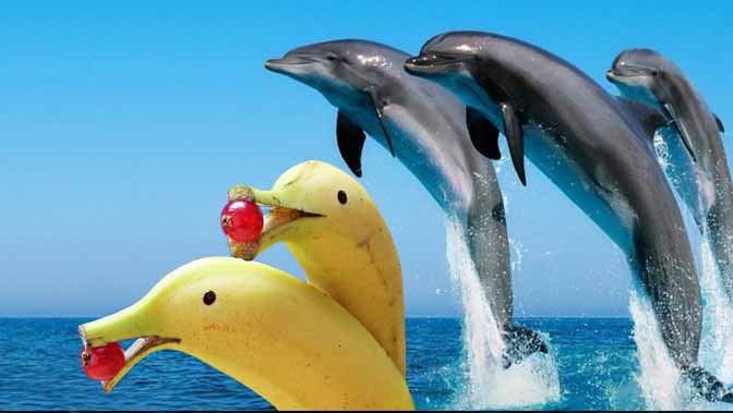 Sản xuất Phim Quảng cáo